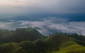 Mountain Nest